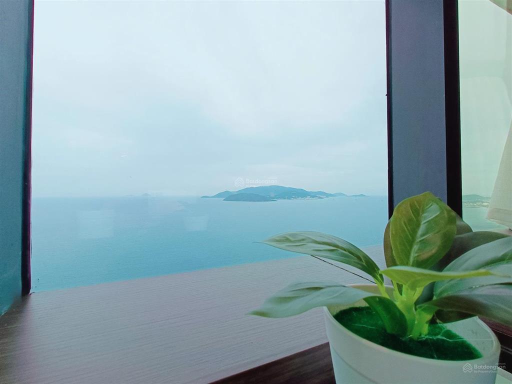Căn hộ biển mường thanh 60 trần phú, tt quảng trường nha trang, tầng 39  1 ngủ 1 vs chính biển