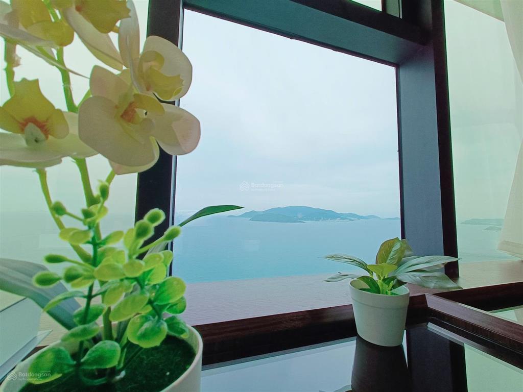 Căn hộ biển mường thanh 60 trần phú, tt quảng trường nha trang, tầng 39  1 ngủ 1 vs chính biển