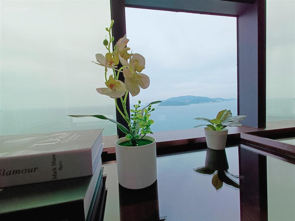 Căn hộ biển mường thanh 60 trần phú, tt quảng trường nha trang, tầng 39  1 ngủ 1 vs chính biển