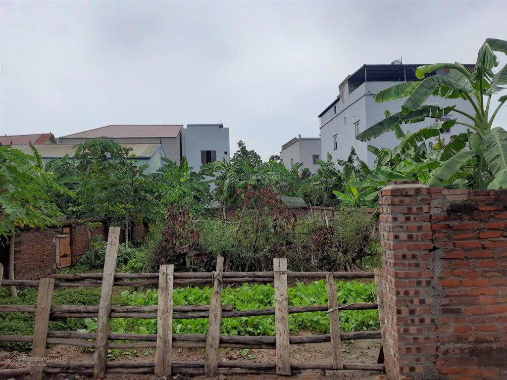 Chính chủ gửi bán đất tại thôn nga trại, xã xuân cẩm, bắc ninh, 220 m2, giá 3,25 tỷ