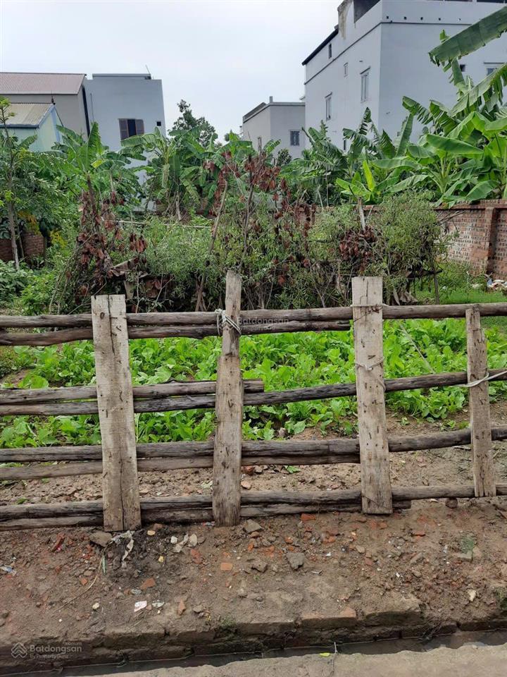 Chính chủ gửi bán đất tại thôn nga trại, xã xuân cẩm, bắc ninh, 220 m2, giá 3,25 tỷ