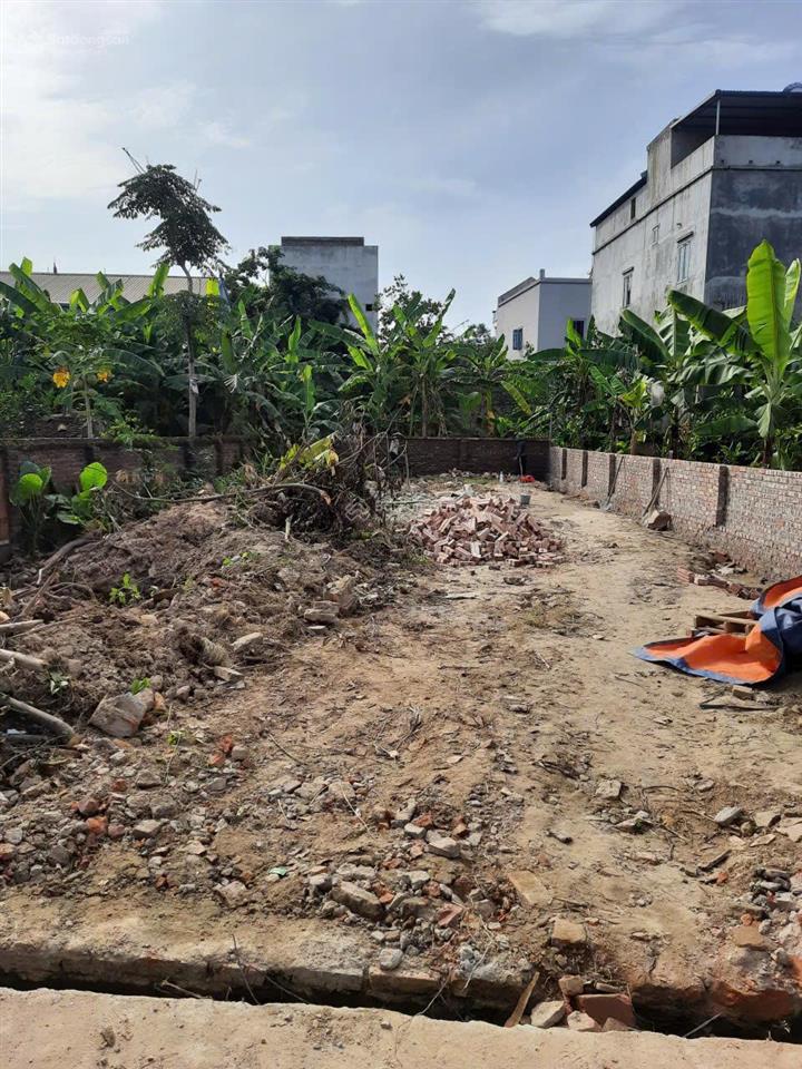 Chính chủ gửi bán đất tại thôn nga trại, xã xuân cẩm, bắc ninh, 220 m2, giá 3,25 tỷ