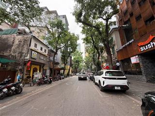 Bán nhà mặt phố triệu việt vương, trần nhân tông, lô góc 2 mặt phố, dt 60m², mt 17m, 7 tầng