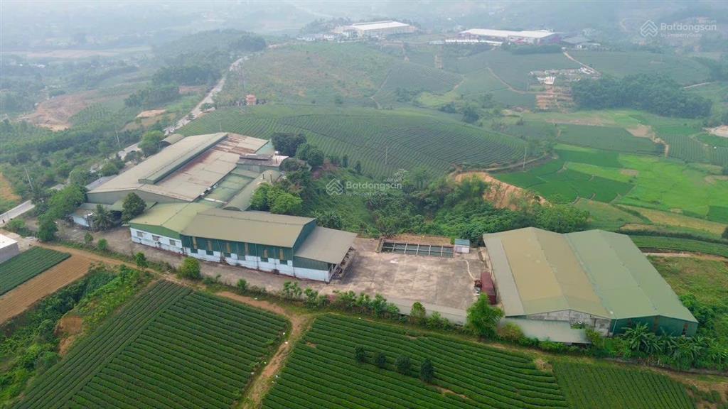 Bán kho, nhà xưởng view đẹp tại xã sơn hùng, phú thọ, giá thỏa thuận, 27000 m2