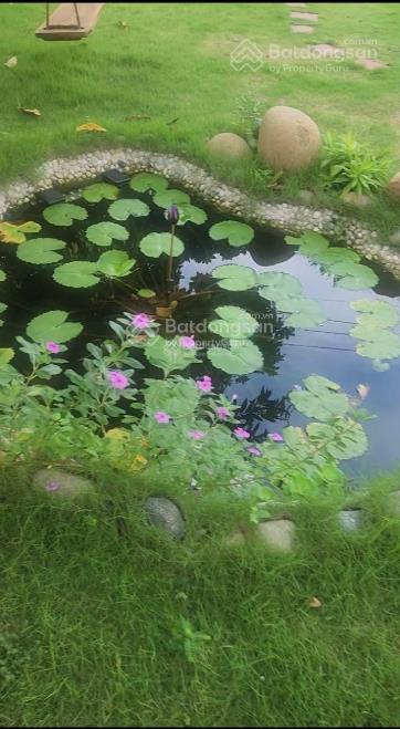 Bình chánh  hưng long  cần bán nhà vườn 600m2 sổ hồng riêng chính chủ