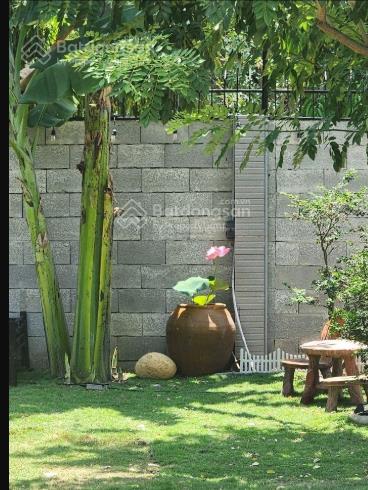 Bình chánh  hưng long  cần bán nhà vườn 600m2 sổ hồng riêng chính chủ