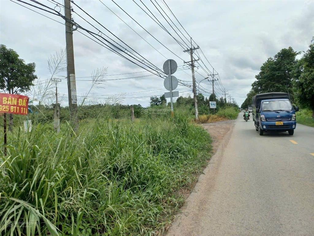 Mặt tiền trần đại nghĩa, bình chánh, dt 1000m2 đất vườn cln, giá rẻ 7 triệu/1m2