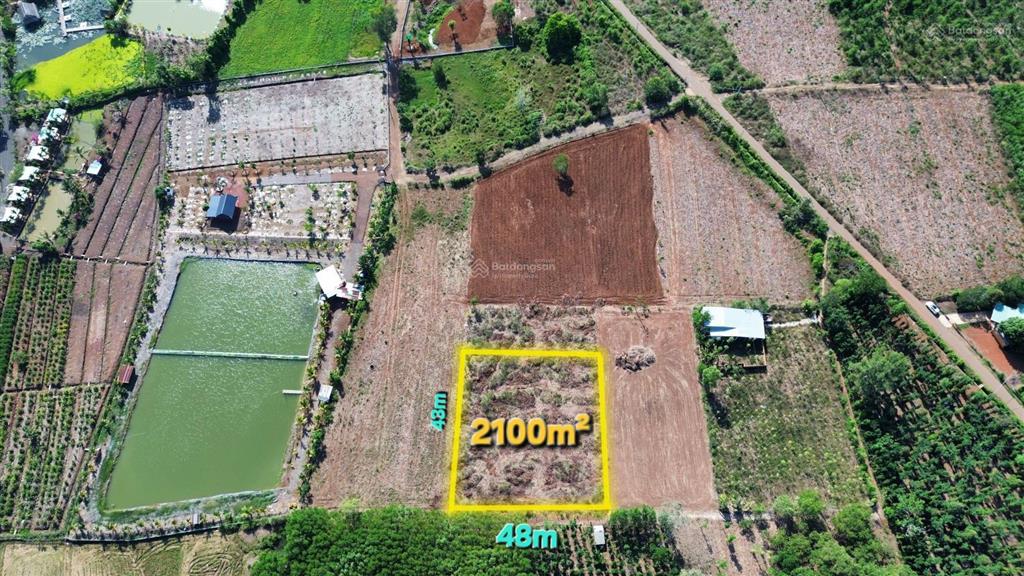 Bình giã, tphcm 2100m2 mặt tiền 48m thênh thang, giá rẻ khu vực