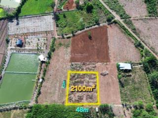 Bình giã, tphcm 2100m2 mặt tiền 48m thênh thang, giá rẻ khu vực