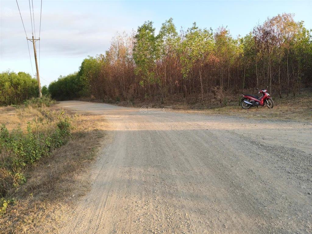 Bán đất quy hoạch skc 17,6ha xuân lộc đồng nai. vị trí đẹp diện tích lớn.