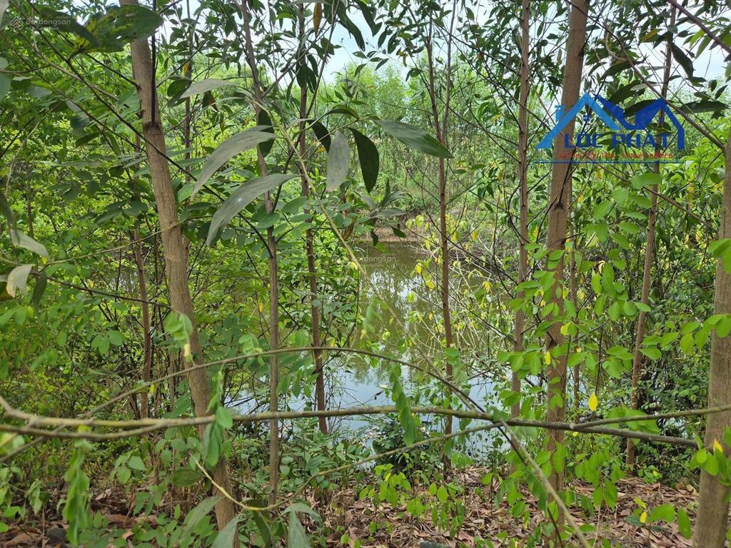 S106 bán đất 19.500m2 gần hồ trị an vĩnh cửu đồng nai. phù hợp làm farmstay nghỉ dưỡng.