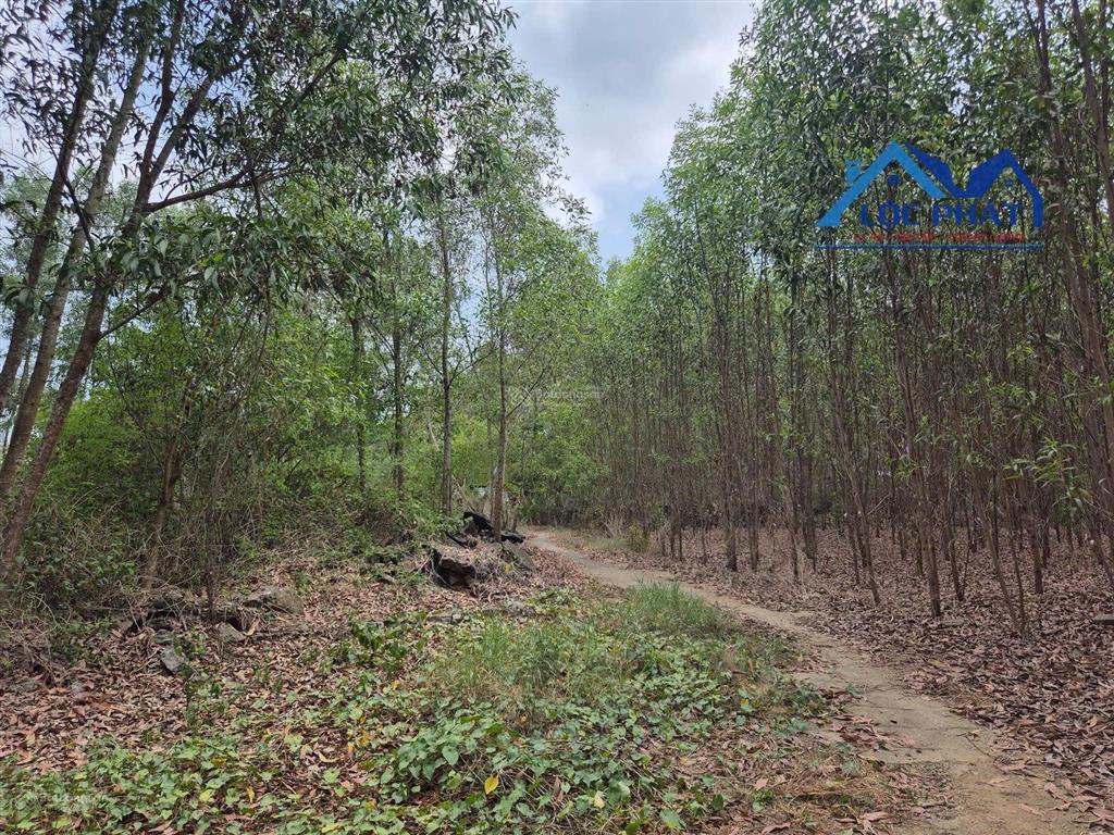 S106 bán đất 19.500m2 gần hồ trị an vĩnh cửu đồng nai. phù hợp làm farmstay nghỉ dưỡng.