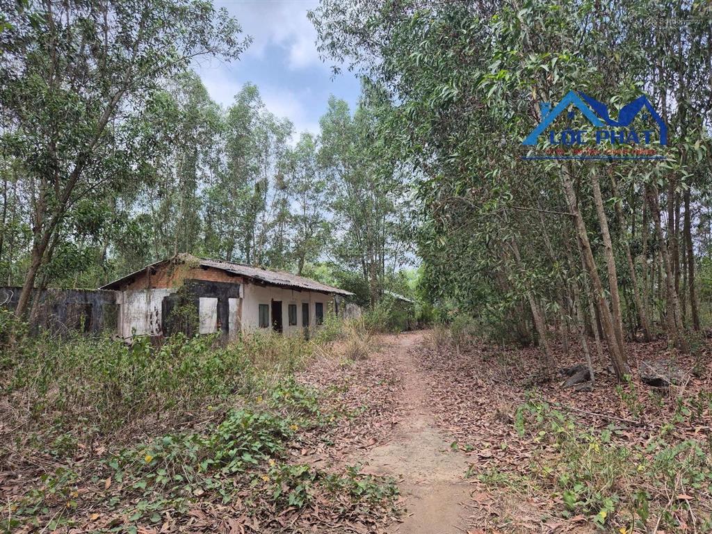 S106 bán đất 19.500m2 gần hồ trị an vĩnh cửu đồng nai. phù hợp làm farmstay nghỉ dưỡng.