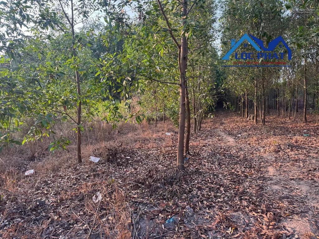 S138 bán đất skc 2.300m2 gần kcn giang điền. đã đóng tiền 1 lần giá 14,5 tỷ.