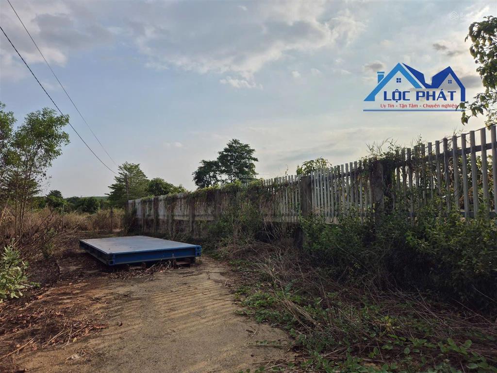 S141 bán đất xây dựng xưởng 15.000m2 phước tân đồng nai. giá chỉ 2,2 triệu/m2.