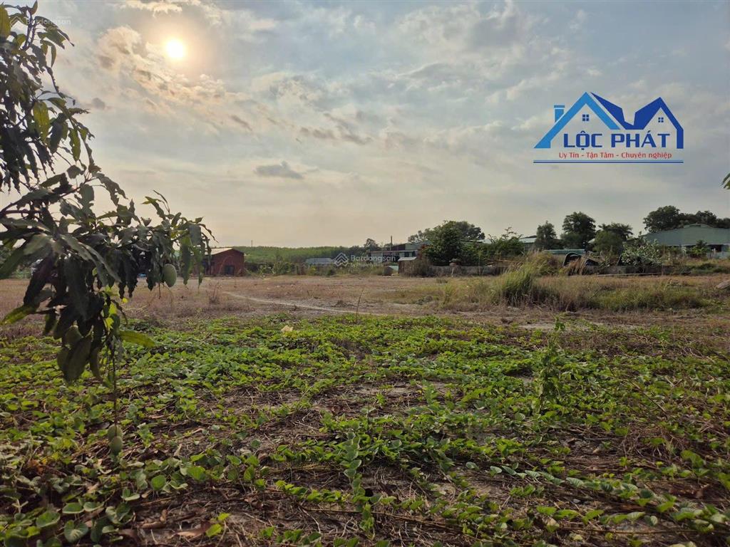S141 bán đất xây dựng xưởng 15.000m2 phước tân đồng nai. giá chỉ 2,2 triệu/m2.