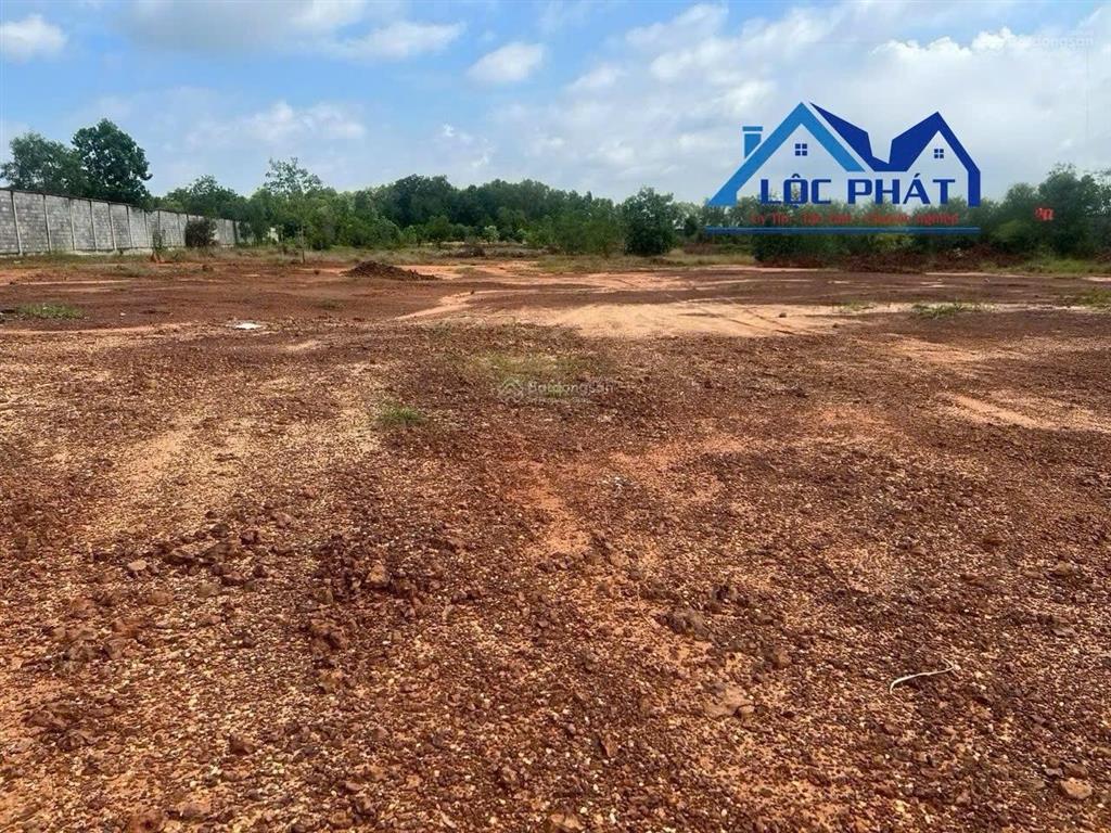 Bán đất 14.000m2 skc thiện tân vĩnh cửu đồng nai. giá chỉ 28 tỷ thương lượng.