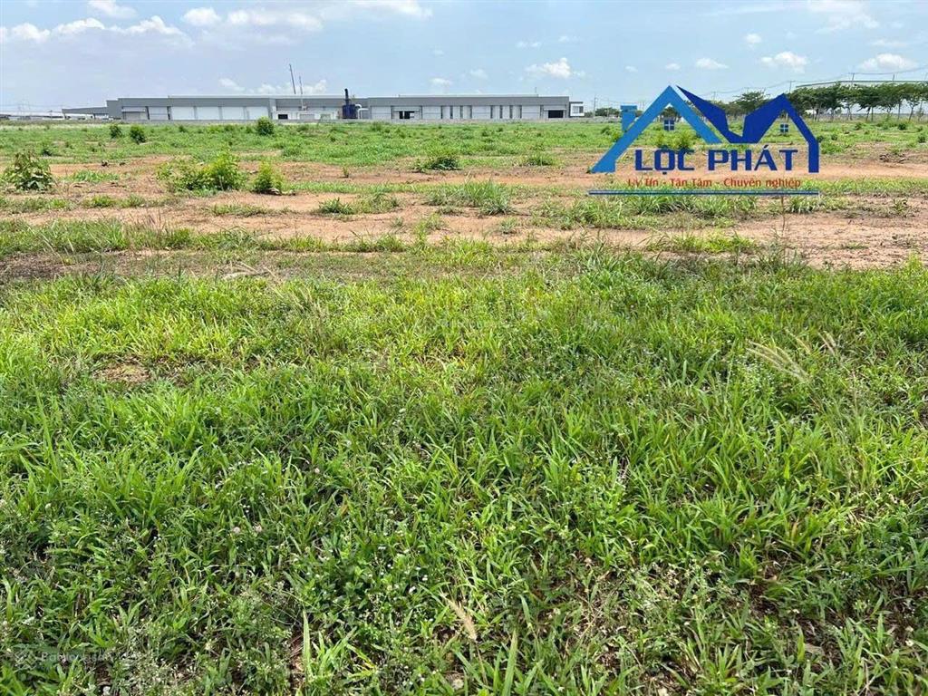 Bán đất 31.001m2 kcn giang điền, trảng bom, giá tốt chỉ 173 usd/m2 khoảng 137 tỷ thương lượng