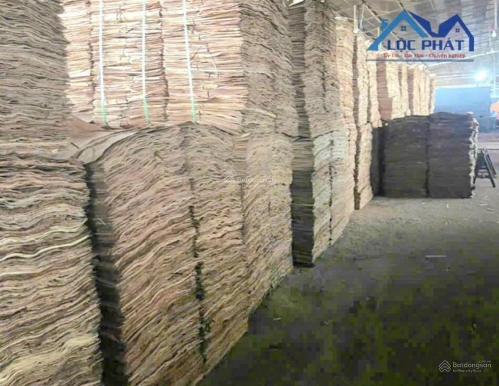 Bán đất nhà xưởng 9.794m đồng xoài, bình phước giá 22 tỷ. full skc