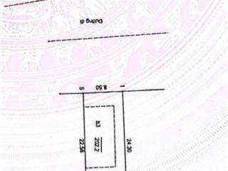 Siêu phẩm liền kề mỹ đình diện tích khủng, mặt tiền rộng, giá cực tốt!