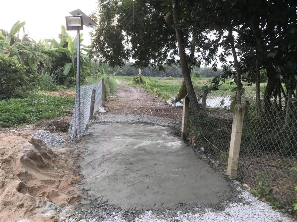 Bán đất vườn ven sông vàm cỏ tây 1.947 m² tại xã mỹ thạnh, tây ninh (thủ thừa cũ)