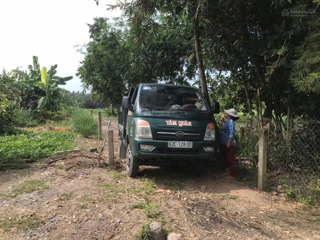 Bán đất vườn ven sông vàm cỏ tây 1.947 m² tại xã mỹ thạnh, tây ninh (thủ thừa cũ)