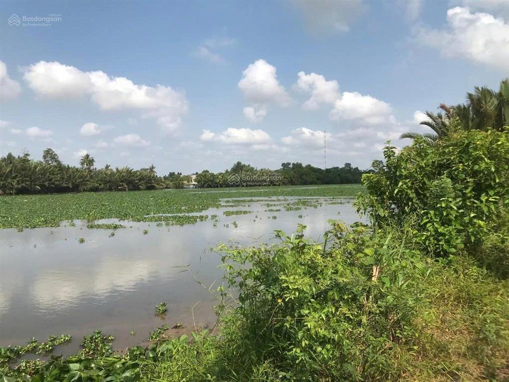 Bán đất vườn ven sông vàm cỏ tây 1.947 m² tại xã mỹ thạnh, tây ninh (thủ thừa cũ)