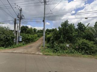 Bán gấp đất vườn 1.946 m2 bảo vinh long khánh, có nhà + cổng rào, ô tô tới đất, giá 2,5 tỷ