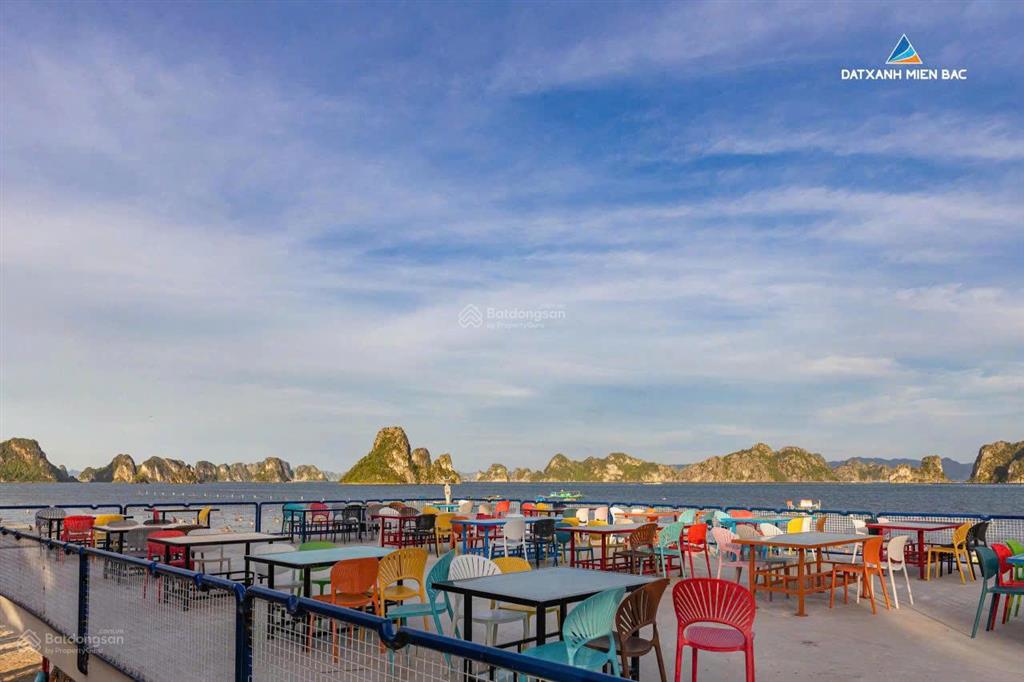 Chính thức nhận booking dự án vân bay view biển sở hữu lâu dài, trung tâm kđt mới phương đông