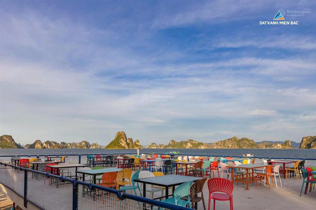 Chính thức nhận booking dự án vân bay view biển sở hữu lâu dài, trung tâm kđt mới phương đông