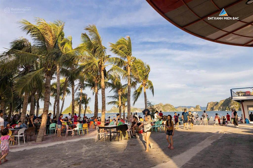 Chính thức nhận booking dự án vân bay view biển sở hữu lâu dài, trung tâm kđt mới phương đông