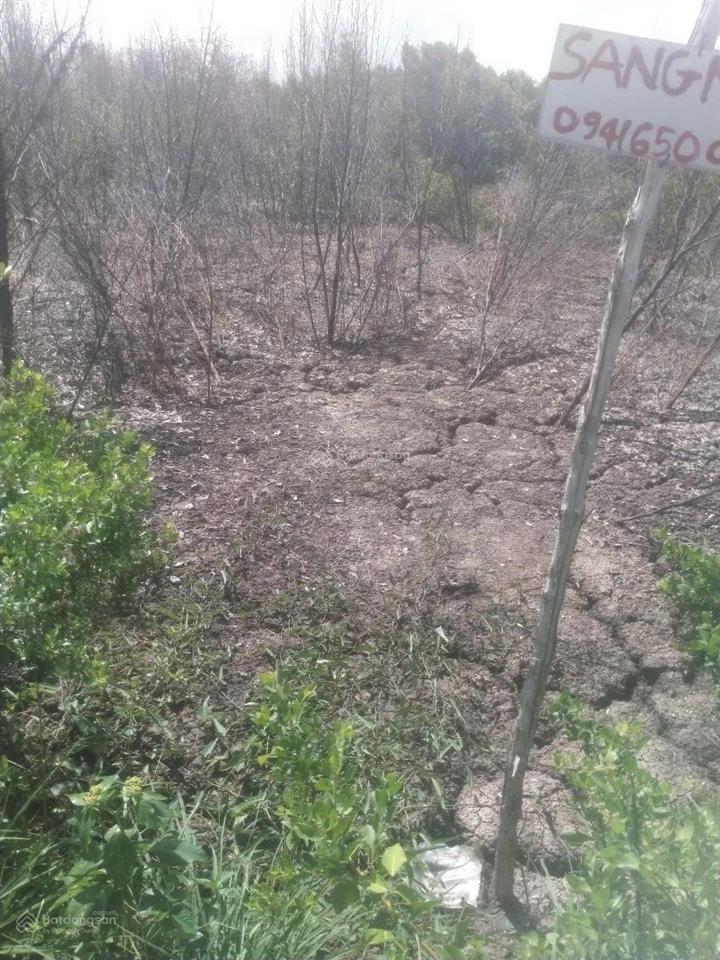 Bán đất nền ngang 28.5 dài 150m hậu đâm tới sông