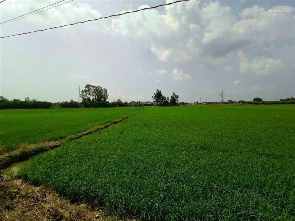 Bán đất tại xã phi thông, rạch giá, kiên giang, giá 580 nghìn/ m2, diện tích 20880 m2