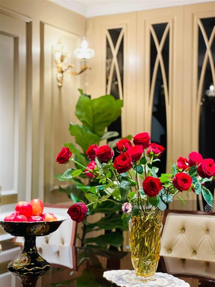 Giá thật! chính chủ bán handi resco 31 lê văn lương 66m2, 2n 2wc, full nội thất đẹp, có slot ô tô