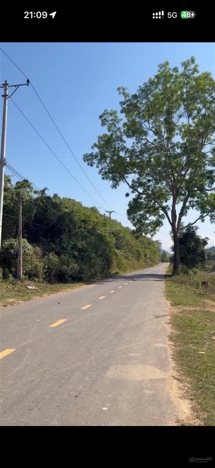 Chủ cần tiền nên bán gấp lô đất