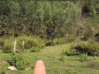 Chủ cần tiền nên bán gấp lô đất