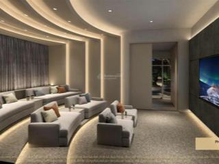 Chính chủ bán căn góc 3ngủ 115m view công viên cực đẹp. full nội thất, đồ điện lạnh giá chỉ 16 tỷ