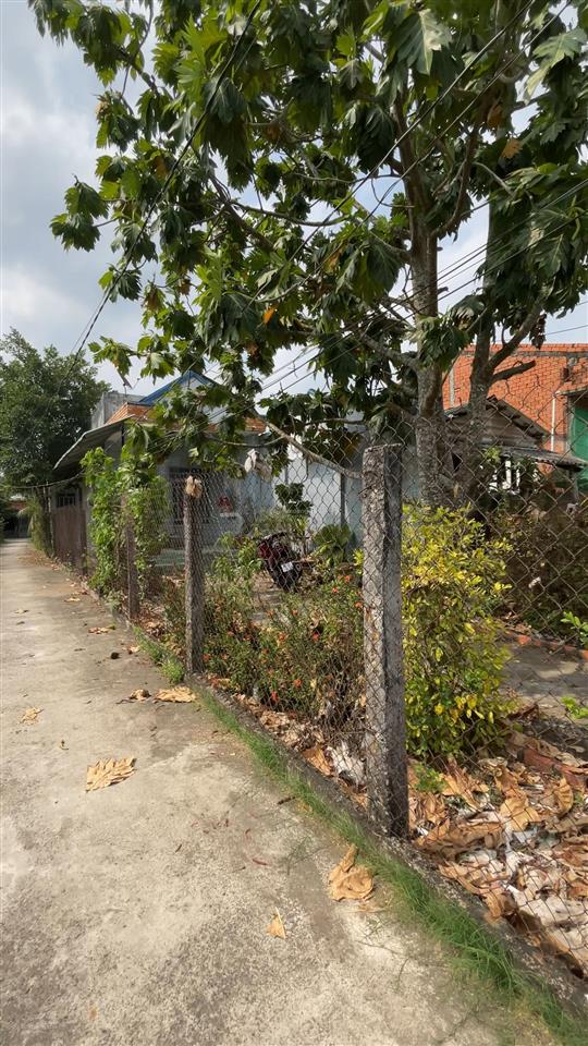 Mình chủ đất cần bán miếng đất châu thành long an