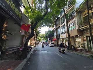 Bán gấp! tô hiệu, ngay sân vận động dt 53m2, 4 tầng, vỉa hè, ô tô tránh, kinh doanh, nhỉnh 11 tỷ