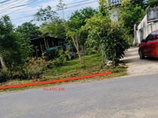 Duy nhất 1 lô mt dh509 đối diện kcn an linh, diện tích 441m2 (6x73), đường nhựa qh 32m rộng đẹp