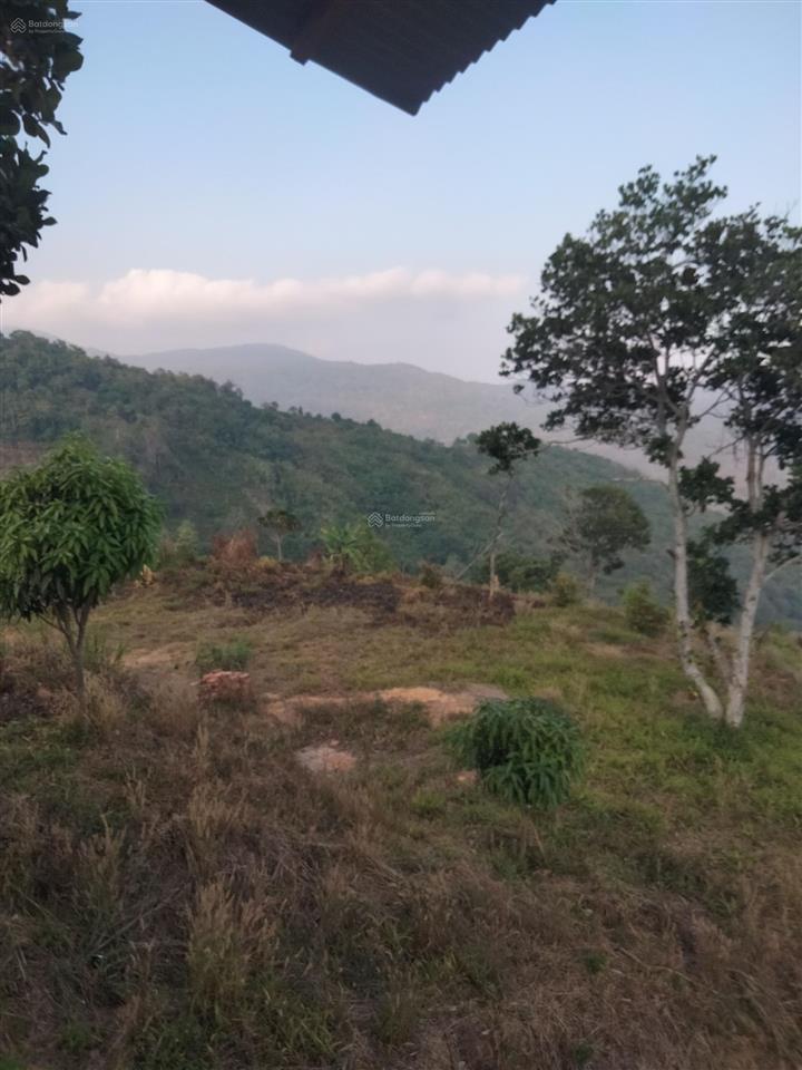 Bán đất đồi làm view, nhà nghỉ dưỡng, mặt tiền ql28 đèo gia bắc