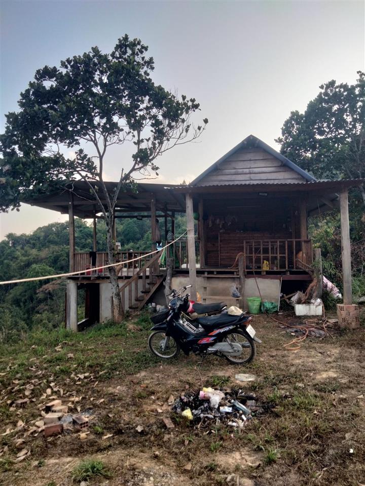 Bán đất đồi làm view, nhà nghỉ dưỡng, mặt tiền ql28 đèo gia bắc