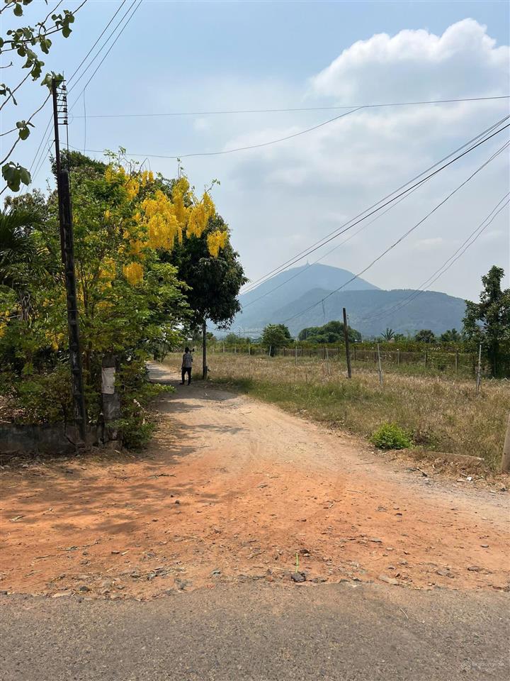 Chủ ngộp bán gấp đất tây ninh view núi sát nhựa to có 169tr full 112m 7x16x50m