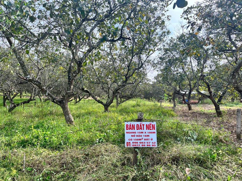 Bán đất tại thôn 1, đạ tồn, đạ huoai, 1,5 tỷ, 1500 m2