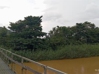 Bán 1 hecta đất view sông, trồng cây lâu năm không lo thiếu nước