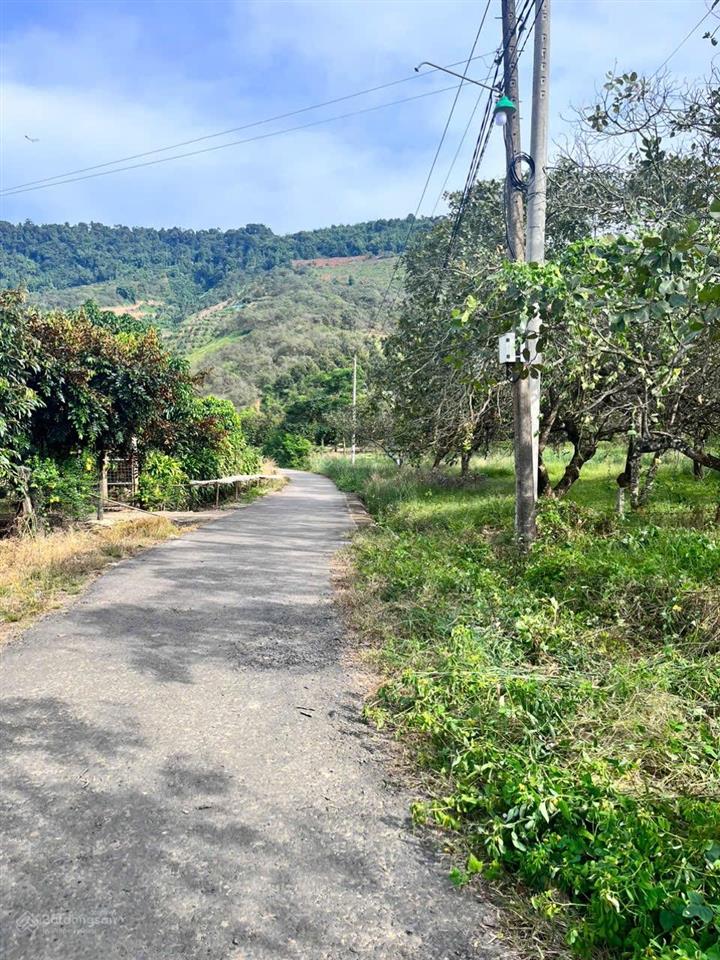 Bán đất tại thôn 1, đạ tồn, đạ huoai, 1,350 tỷ, 1597m2