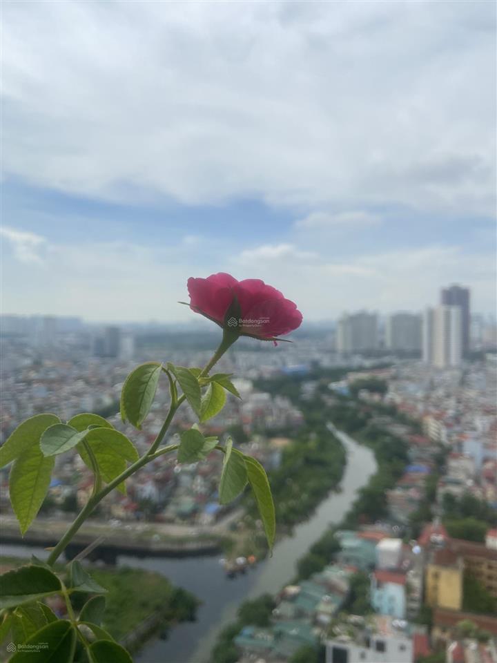 Chính chủ cần bán căn hộ chung cư 2 phòng ngủ để thu hồi vốn chuyển nhà đi làm kinh tế tỉnh ngoài