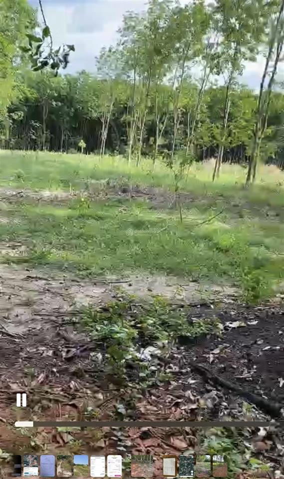 Chủ ngộp cần bán lô đất sào  vuông vức