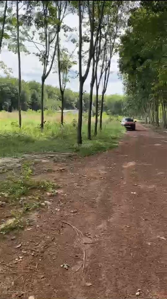 Chủ ngộp cần bán lô đất sào  vuông vức
