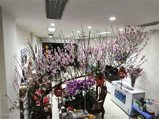 Bán nhà biệt thự 4pn, 4wc, 67,5m2 tại lai xá, kim chung, hoài đức, giá ưu đãi 16,5 tỷ vnd